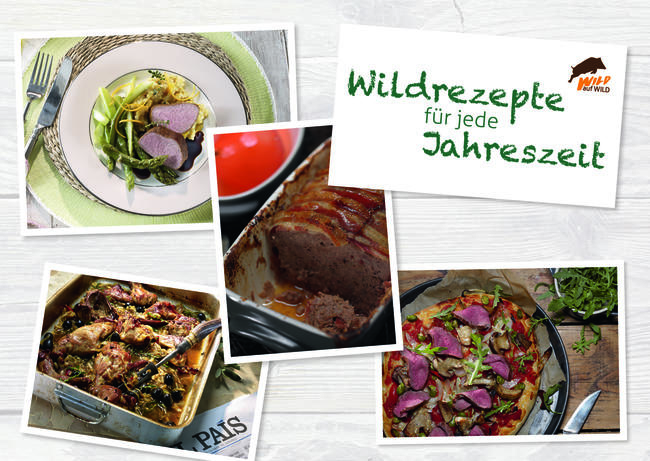 Einleitung der Rezeptkarten