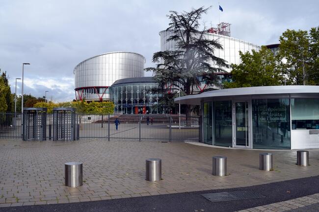 _Europäischer Gerichtshof für Menschenrechte (Strasburg)