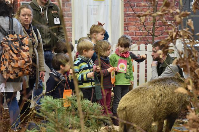 Nicht nur das Thema Wildunfälle lockt die Besucher zum DJV-Stand auf die Grüne Woche. Im Biotop gibt es für Kinder viel zu entdecken.