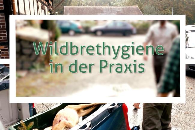 Wildbrethygiene in der Praxis