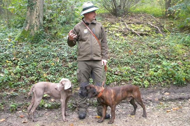 Jens Hepper mit seinen beiden Hunden