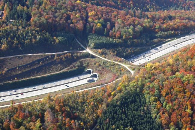 Grünbrücke Aichelberg an der A8