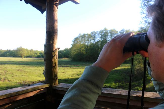 Die Ruhe und den Ausblick genießen. Jagdgast Matthias Ernst beobachtet einen Fuchs auf der Wiese.