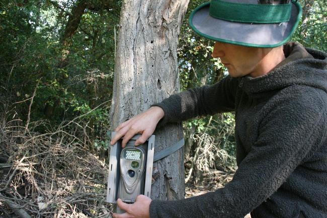 Jäger bringt Wildkamera an