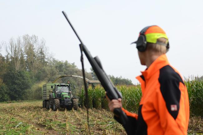 Signalfarben sind ein Muss auf der Erntejagd.