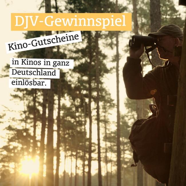 Beim DJV-Gewinnspiel gibt es Kinogutscheine zu gewinnen.