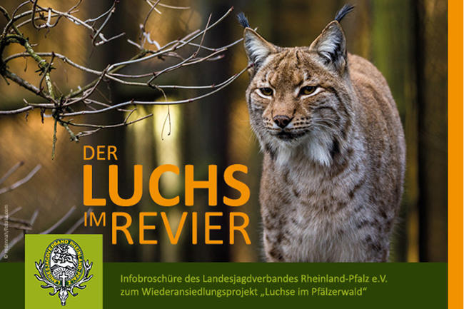 LJV Rheinland-Pfalz stellt die Luchs-Broschüre vor.