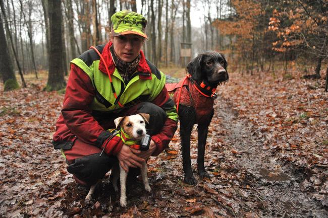 Jägerin und Jagdhunde sind durch Signalwesten gut erkennbar.