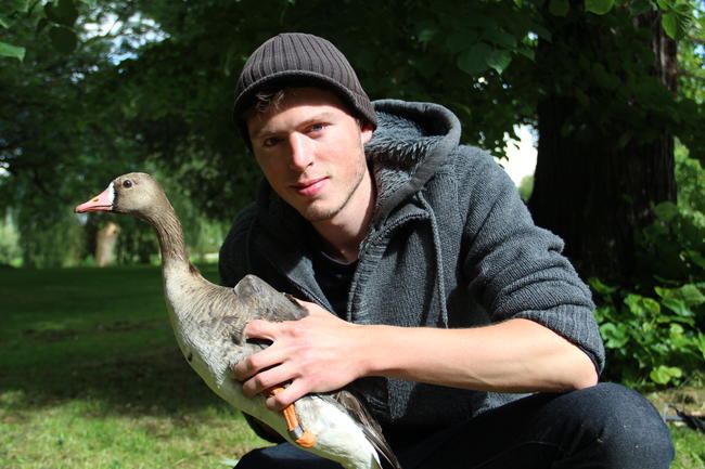 Simon Hinrichs ist ehrenamtlicher Beringer der Vogelwarte Helgoland