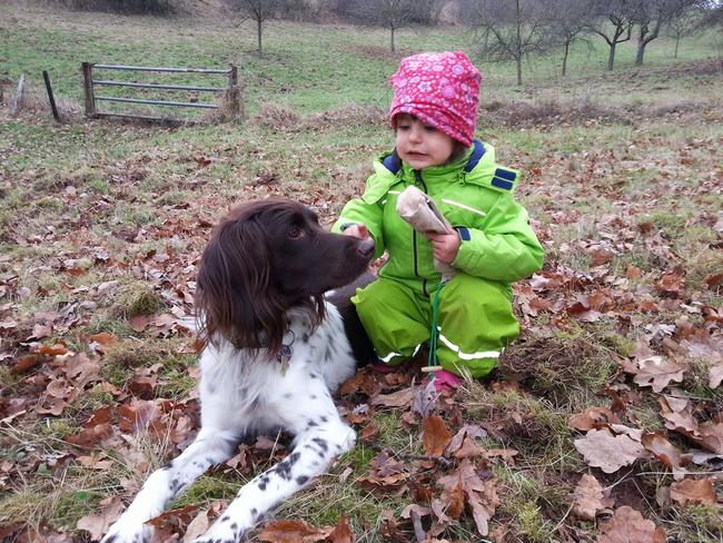 In zwei von drei Jägerhaushalten lebt mindestens ein Hund.