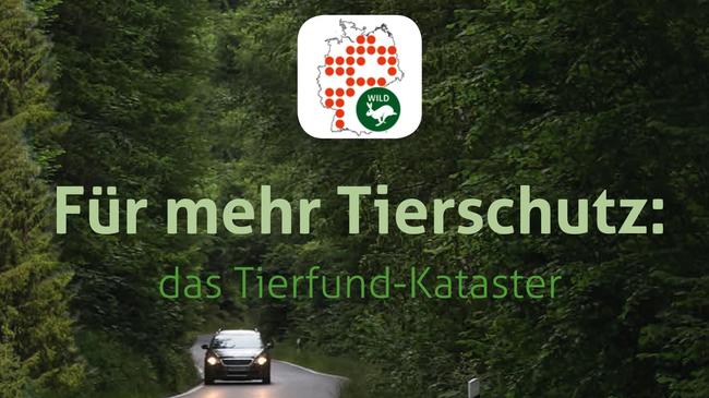 Tierfund-Kataster: Wildunfälle innerhalb von wenigen Minuten per App oder Internet erfassen