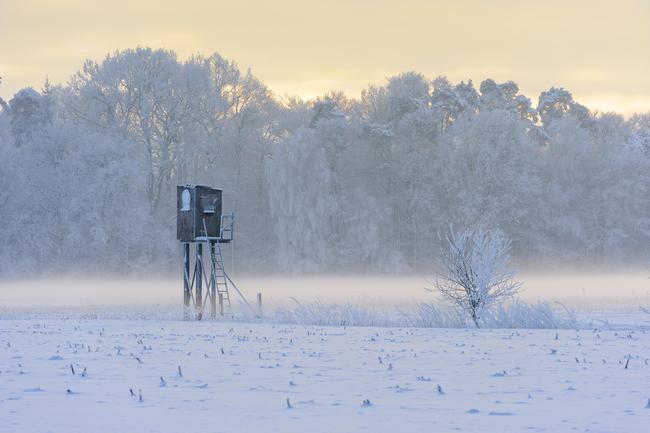 _Im verschneiten Revier