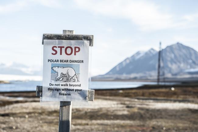 Die Jagd auf Eisbären basiert laut Weltnaturschutzunion IUCN auf Quoten, die jährlich unter Einbeziehung bester wissenschaftlicher und traditioneller ökologischer Maßstäbe gemeinsam mit den Inuit vor Ort festgelegt werden.