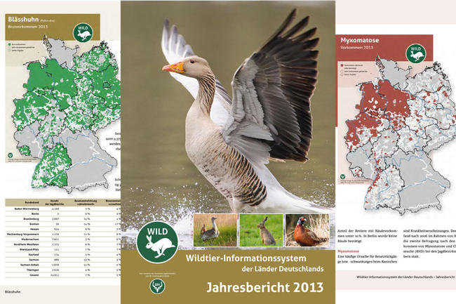 Der neue Wild-Bericht 2013 ist da! Neu sind die Karten mit Verbreitungsgebieten von Wildkrankheiten.