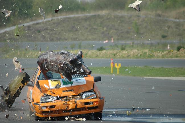 Ein Crashtest des ADAC, DJV und weiteren Partnern des Wildunfallprojektes zeigte, dass eine Geschwindigkeitsverringerung von 100 auf 80 Stundenkilometer bereits einen um 25 Meter kürzeren Bremsweg zur Folge hat.