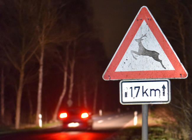 Achtung Wildunfallgefahr: Verkehrschild entlang einer Straße