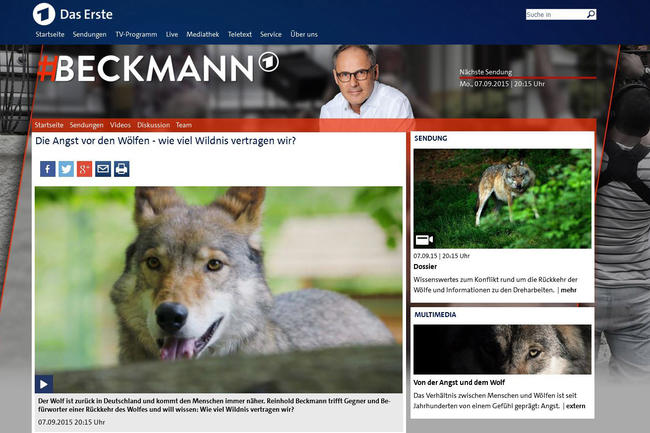#Beckmann: Jagdverbände distanzieren sich von Wolfsabschüssen