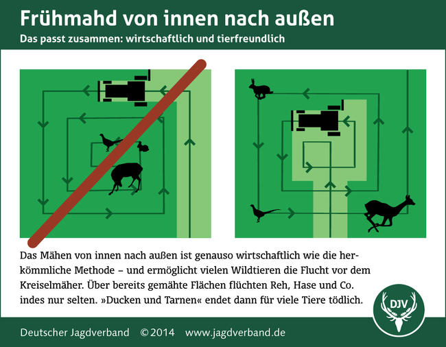 Frühmahd: Von innen nach außen mähen