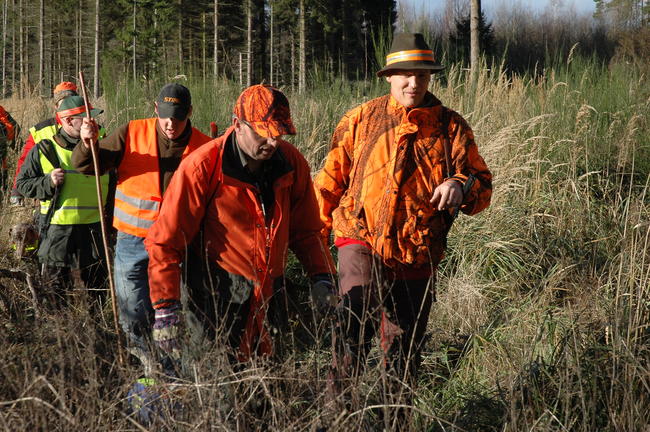 Gemeinsame Drückjagd