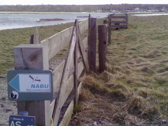 Vom NABU eingesetzte Betonrohrfalle in einem Naturschutzgebiet