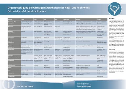 Organbeteiligung bei wichtigen Krankheiten des Haar- und Federwilds - Bakterielle Infektionskrankheiten