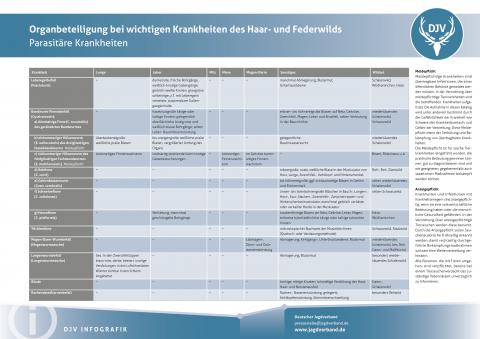 Organbeteiligung bei wichtigen Krankheiten des Haar- und Federwilds - Parasitäre Infektionskrankheiten