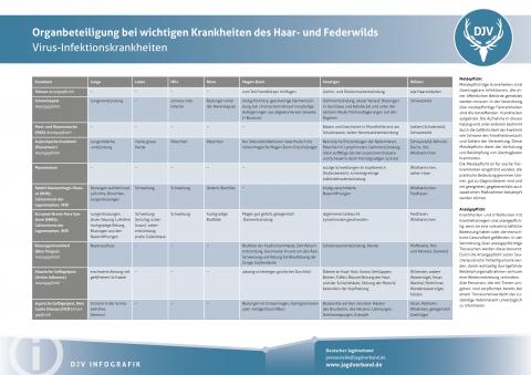 Organbeteiligung bei wichtigen Krankheiten des Haar- und Federwilds - Virus-Infektionskrankheiten