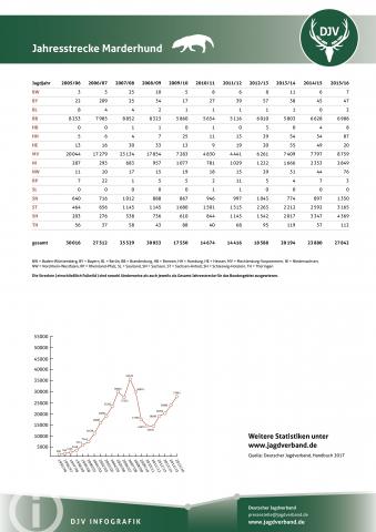 Marderhund: Jagdstatistik 2005-2016