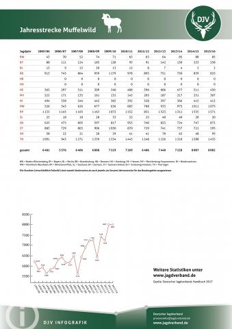 Muffelwild: Jagdstatistik 2005-2016
