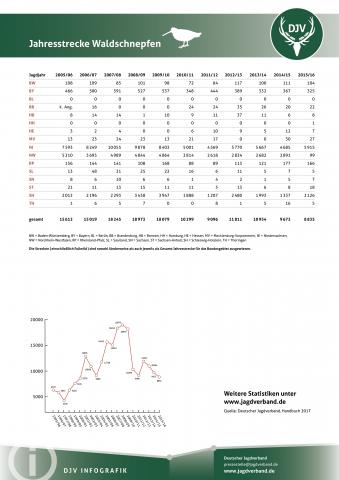 Waldschnäpfe: Jagdstatistik 2005-2016