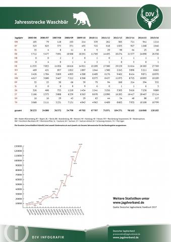 Waschbär: Jagdstatistik 2005-2016