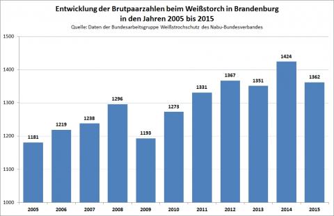 Entwicklung des Weißstorches in Brandenburg