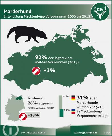 Marderhund: Entwicklung in Mecklenburg-Vorpommern 2006-2015
