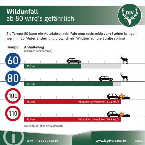 Wildunfall: Bremsweg und Aufprallgeschwindigkeit