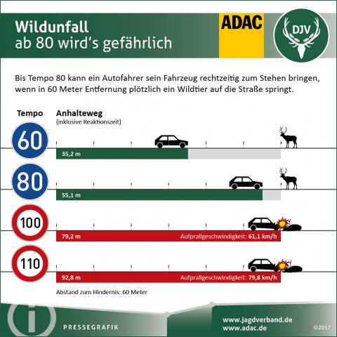 Wildunfall: Bremsweg und Aufprallgeschwindigkeit