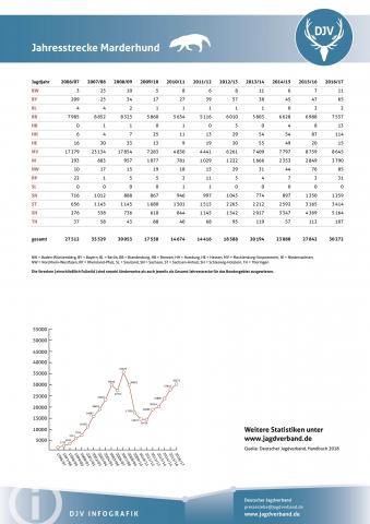 Marderhund: Jagdstatistik 2006-2017