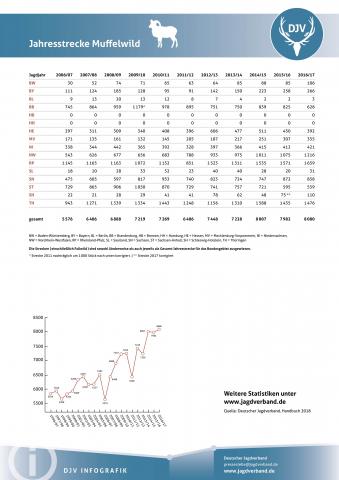 Muffelwild: Jagdstatistik 2006-2017