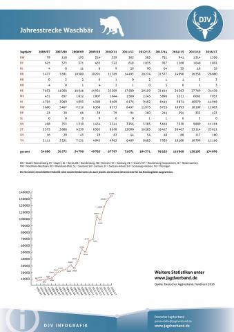 Waschbär: Jagdstatistik 2006-2017