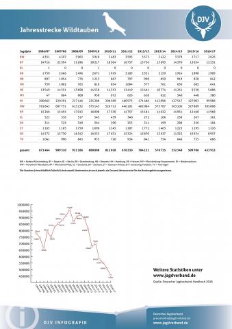 Wildtaube: Jagdstatistik 2006-2017