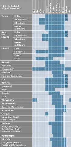 Pressegrafik: Jagdzeiten der einzelnen Wildtierarten