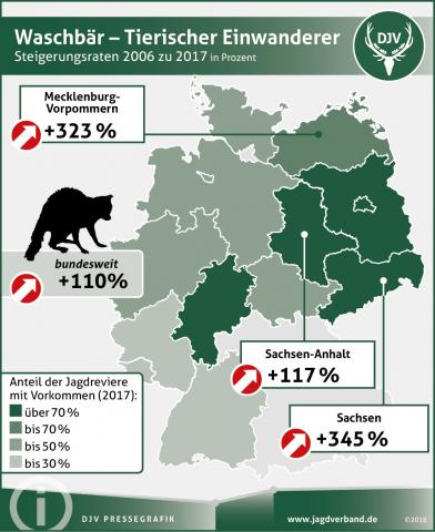 Waschbärverbreitung: Steigerungsrate 2006 zu 2017 bundesweit um 110 Prozent (Quelle: DJV) Waschbärverbreitung: Steigerungsrate 2006 zu 2017