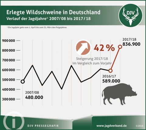 Wildschwein: Jagdstatistik 2007/08 bis 2017/18
