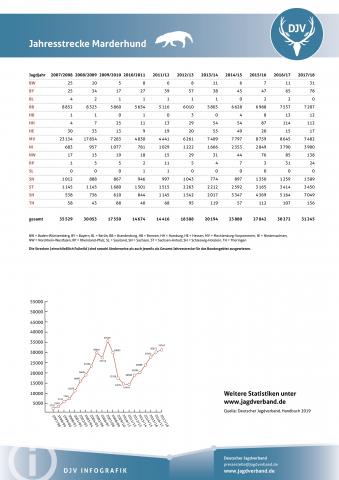 Marderhund: Jagdstatistik 2007-2018