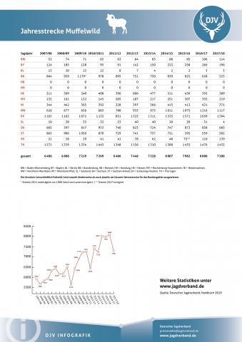 Muffelwild: Jagdstatistik 2007-2018