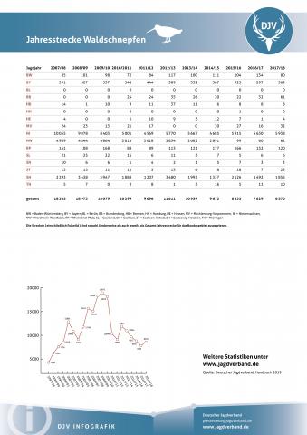 Waldschnepfe: Jagdstatistik 2007-2018