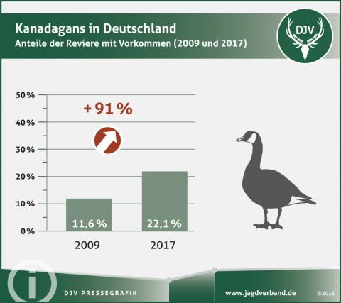 Kanadagans in Deutschland - Anteil der Reviere mit Vorkommen (2009 und 2017)
