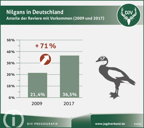 Nilgans in Deutschland - Anteil der Reviere mit Vorkommen (2009 und 2017)