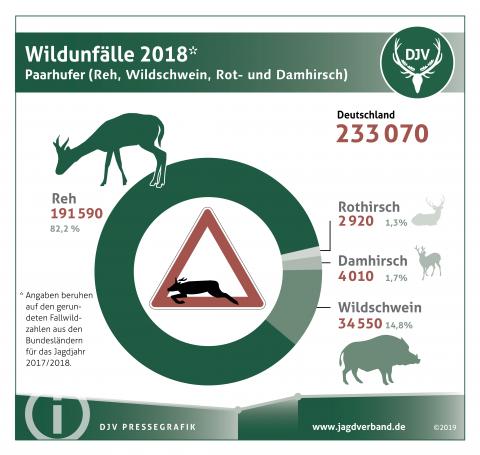 Wildunfälle 2018 - Paarhufer (Reh, Wildschwein, Rot- und Damhirsch) (Quelle: DJV)