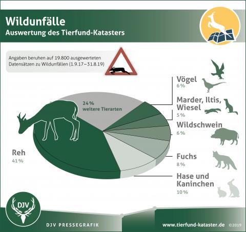 Wildunfälle - Auswertung des Tierfund-Katasters