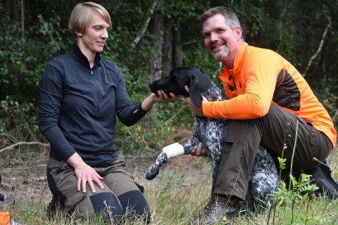 DJV veröffentlicht 9-teilige Filmreihe "Erste Hilfe für den Jagdhund" (Quelle: Milinski/DJV)